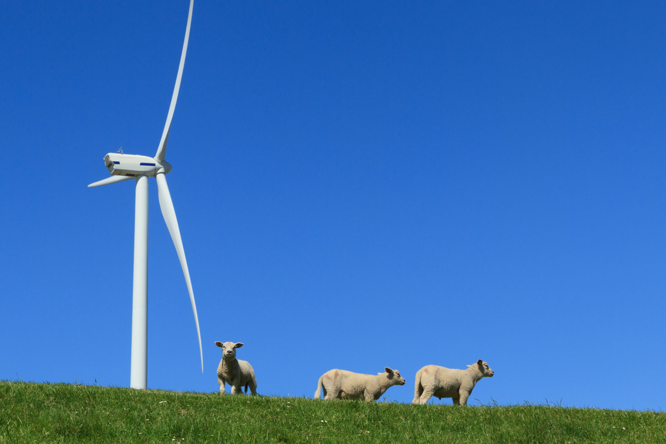 Wind Turbine