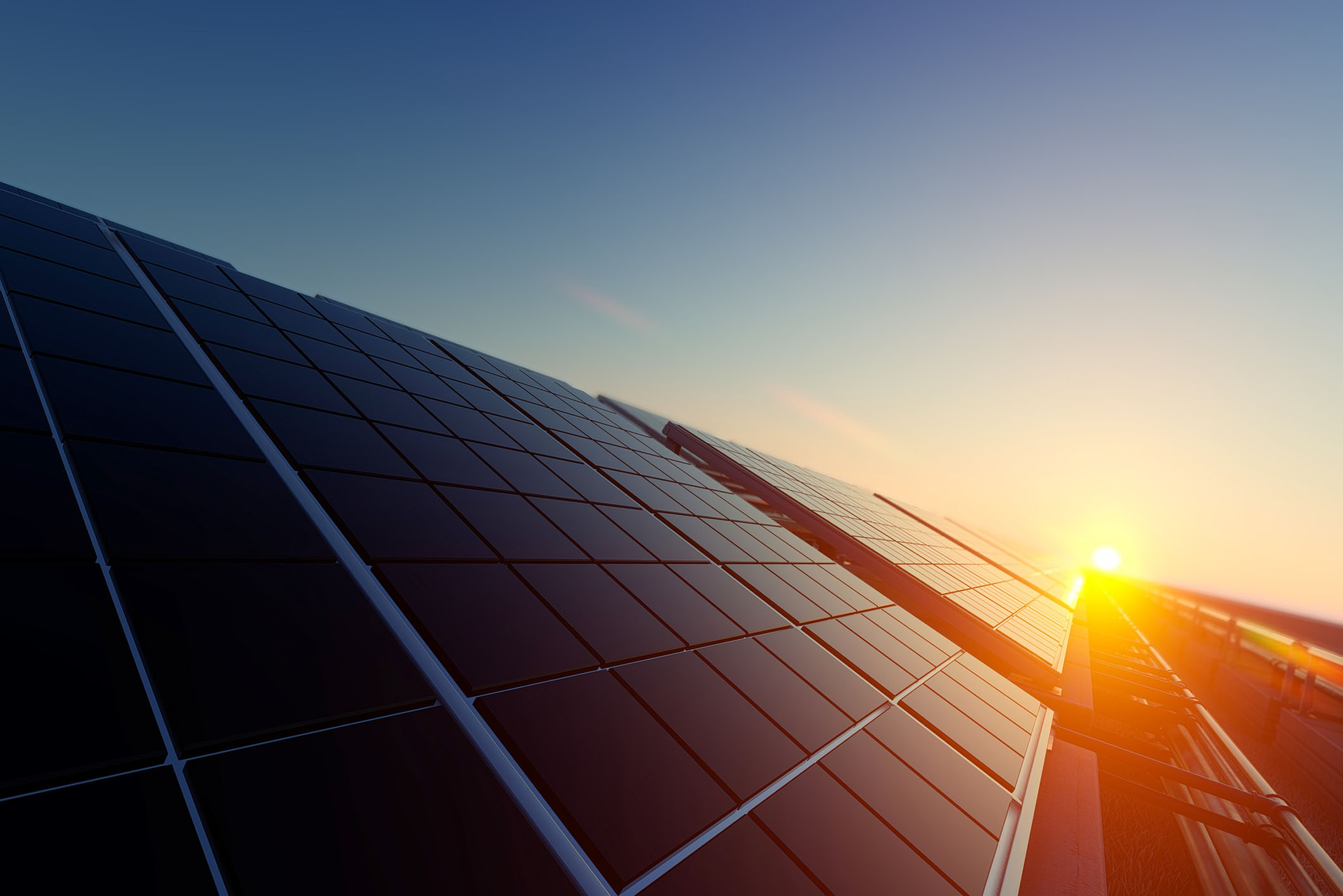 solar farm