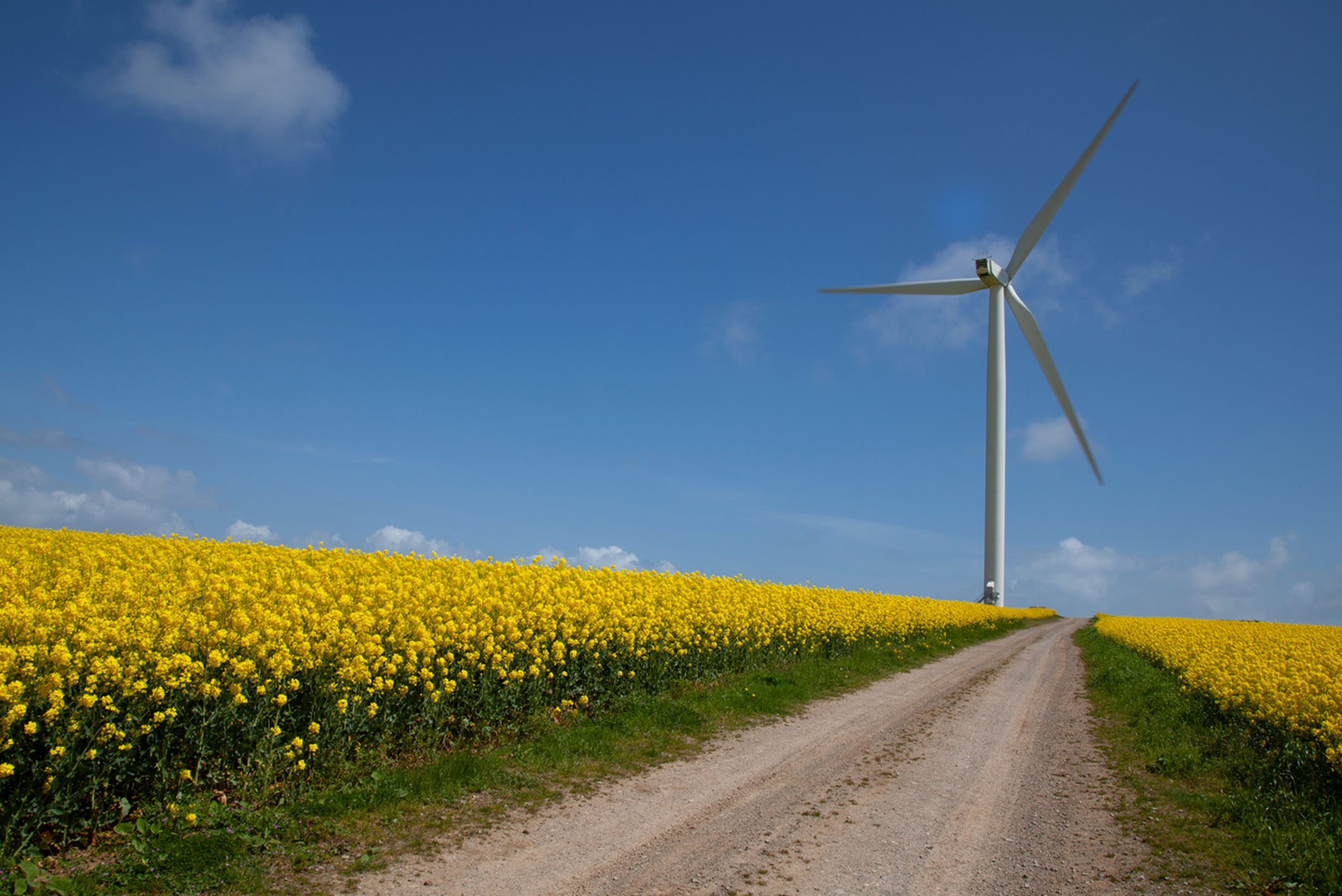 Wind Turbine